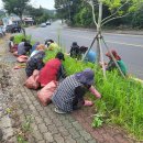 칠십리로 이미지