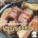 달빛청과 | 속초 해수욕장 맛집 달빛돈가 속초본점, 애견동반 단체 모임 회식 여행 필수 코스 추천, 주차 및 솔직 후기
