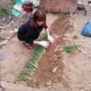 쁘띠펜션 이미지