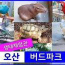 버드패럿