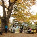 산내면 상황마을 네이버블로그