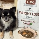 현대특수사료㈜ | 강아지 알러지 사료 브릿 하이포알러제닉 토끼 네이버 펫 바우처 후기