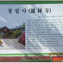 서귀포여자고등학교 이미지