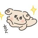 네일;보담