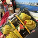 장원영농장 | 장원영처럼 먹어야 하는 대왕딸기 등장 🍓