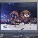 프로레슬링 WWF 미친 도파민 개쩌는 시절.gif 이미지