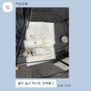 카인드독 이미지
