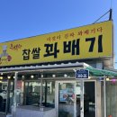 태안 먹거리 추천 정이당행복한찹쌀꽈배기 후기