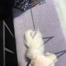 모티브아이디어스 이미지