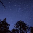 파인글로브 이미지