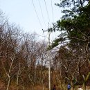 무녀도초등학교 | 군산, 선유도 트레킹