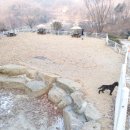 박순호의 아이슬란드 이미지