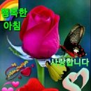 못된송아지 네이버블로그