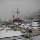 세림탕 이미지