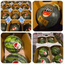 고산동 17-4 이미지