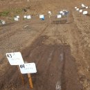 씨돌농장 이미지