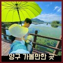 양구중앙시장 | 양구 차박 한반도섬 산책부터 5일장 중앙시장, 애견동반 카페까지
