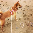 홍성농장 이미지