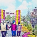 다온노인복지센터 | 다채롭고 따뜻한 부안주간복지센터에서의 하루, 다온노인복지센터 체험기