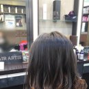 헤어머리꾼 이미지