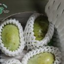 예담소 이미지
