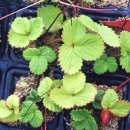 (주)세농 이미지