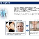 에끌라영에스테틱 이미지