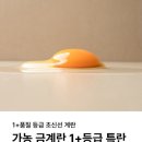 골드에그랑 이미지