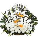 발전소천 이미지