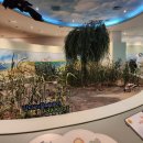 서산버드랜드 전시관(2층) 이미지