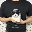 블랙파티 이미지