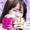 댕타운 Daum카페