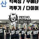 싸이코핏불스킥복싱PT 네이버블로그