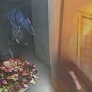 제주집2006