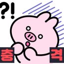 황금밥상 이미지