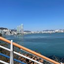 토성동 지하철역사 | 부산 서구 송도 용궁 구름다리 주차장 입장권 가격