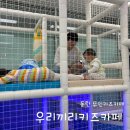 우리끼리키즈카페아쿠아마을 이미지