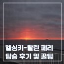 바이킹 | 헬싱키 - 탈린 바이킹 페리 탑승 후기 및 꿀팁