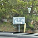 1727노리터 | [제주/서귀포] 안덕 넓은 잔디가 있는 애견 동반 해물라면 맛집 1727노리터 커피도 팔아요