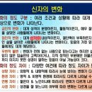 3. 신자의 생활 - 1일차 이미지