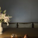 백합기물