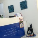 연세조이의원 이미지