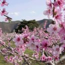 교선목장 이미지