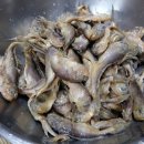 독천낭주골 이미지