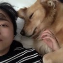 한수풀동물병원 이미지