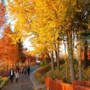 신정호수공원-1 이미지