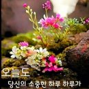 ♡3월14일 금요일 카톡인사! 이미지