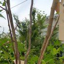 훈훈한약국 이미지