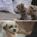 동네농장(2) 이미지