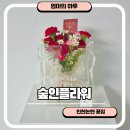 해피트리숲협동조합 | 숲인플라워 인천논현 꽃집 어버이날 카네이션 선물 내돈내산 솔직후기